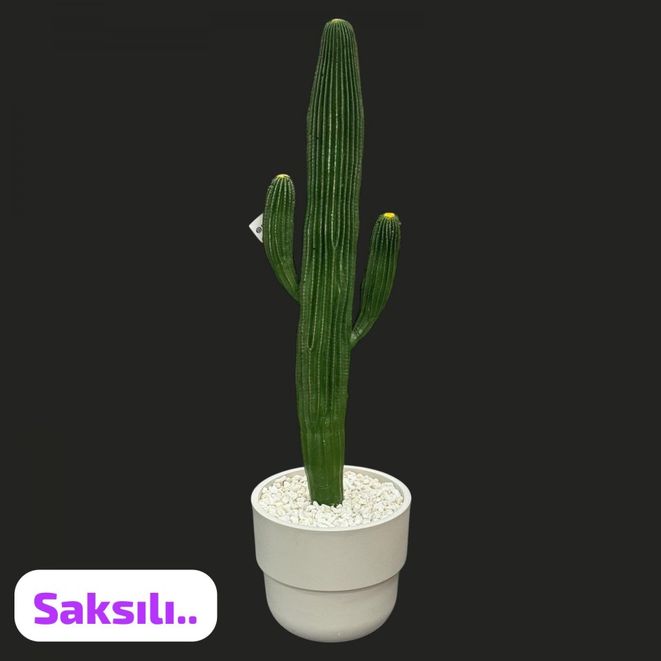SAKSILI TEK GÖVDELİ 2 KOLLU KAKTÜS AĞAÇ 140cm